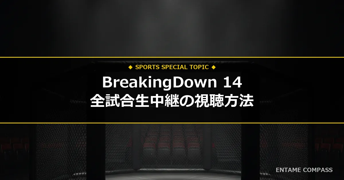 【独占・地上波なし】BreakingDown 14 全試合生中継の配信日程・視聴方法まとめ！スマホで今すぐ見る手順